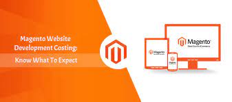 magento website development