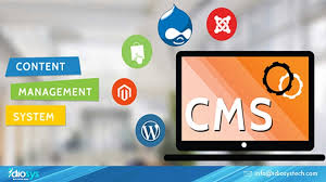 cms web design