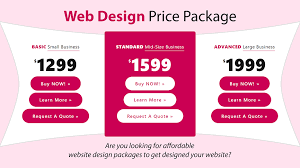 website development packages