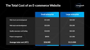 ecommerce website cost