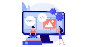 custom web app development