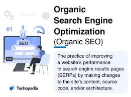 organic search engine optimization specialist