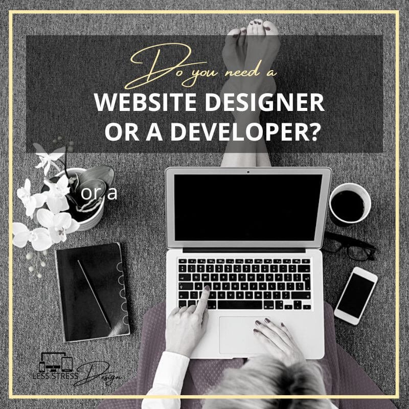 looking for website developer