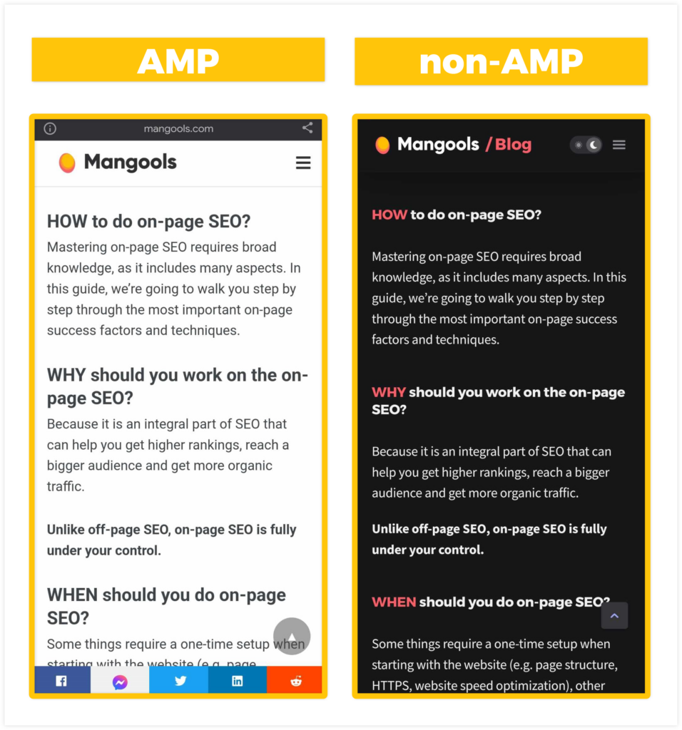 seo amp